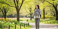 新緑の公園を歩く一人旅の女性の後ろ姿。