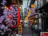 桜と提灯が彩る新宿の風情ある横丁。