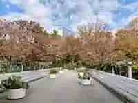 季節の移ろいを感じさせる新宿中央公園の道。