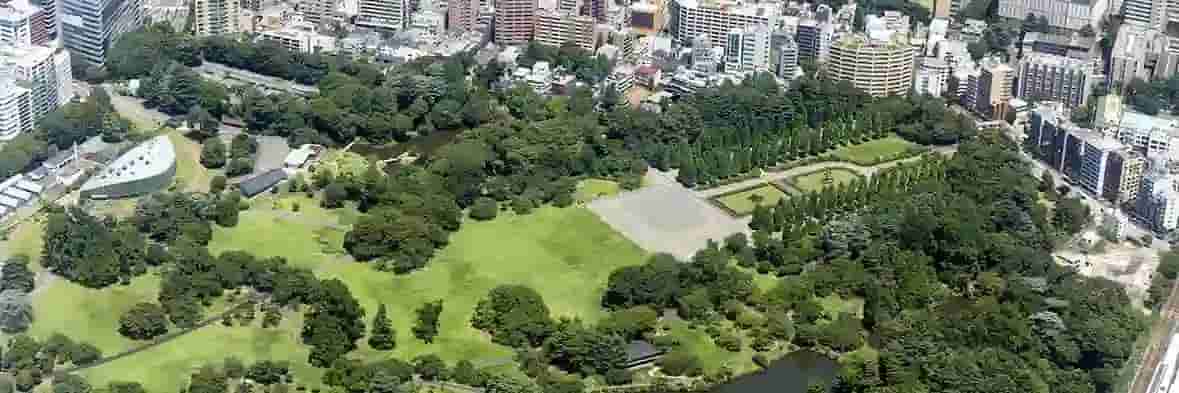 新宿駅東口付近の繁華街、色とりどりのビル看板と雑居ビルが立ち並び、人通りが多い都会の光景。