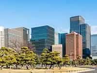 ビジネスの息吹と自然が織りなす大手町。