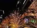クリスマスのイルミネーションが綺麗な丸ビル。