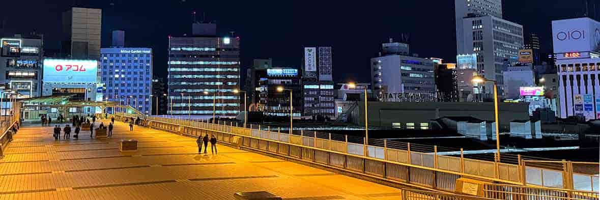 光に照らされた歩道橋と、その先に広がる上野の夜景。