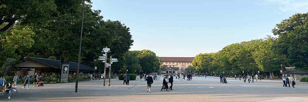 穏やかな日差しの中、人々が行き交う上野公園